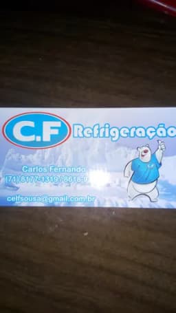 Logo de CARLOS FERNANDO SOUSA DOS SANTOS