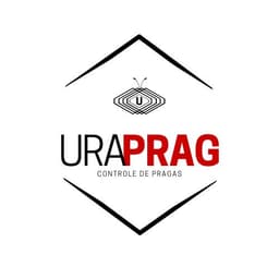 Logo de Marcelo Souto