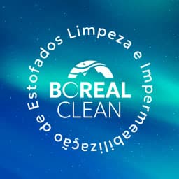Logo de Boreal Clean