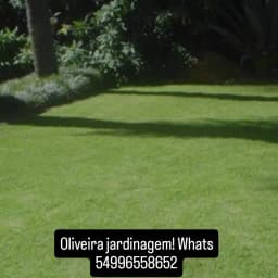 Logo de MATEUS AUGUSTO KOOP DE OLIVEIRA