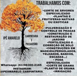 Logo de Ipê Amarelo Carpintaria e Paisagismo