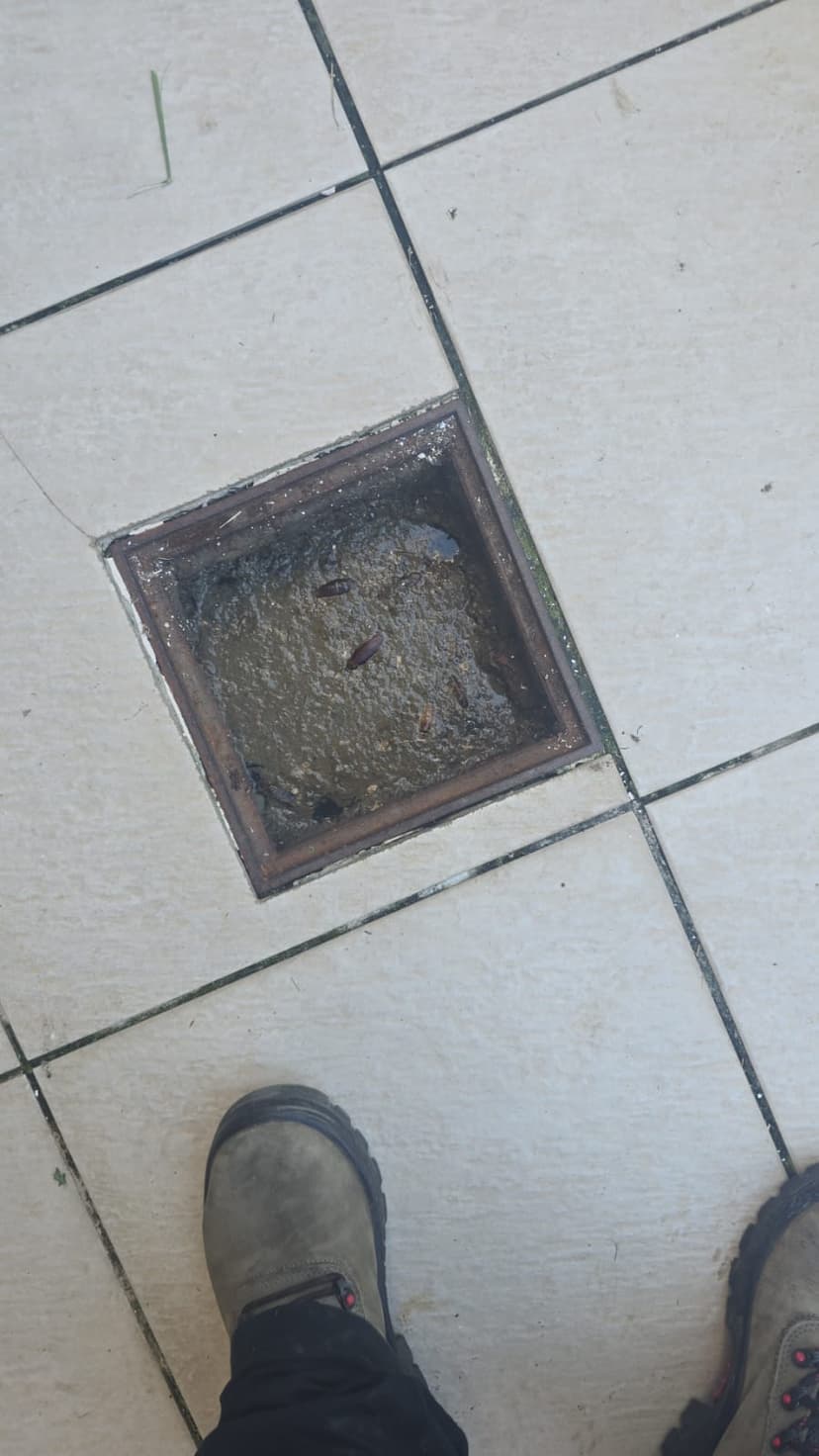 Trabalho de desentupidor por Maikon