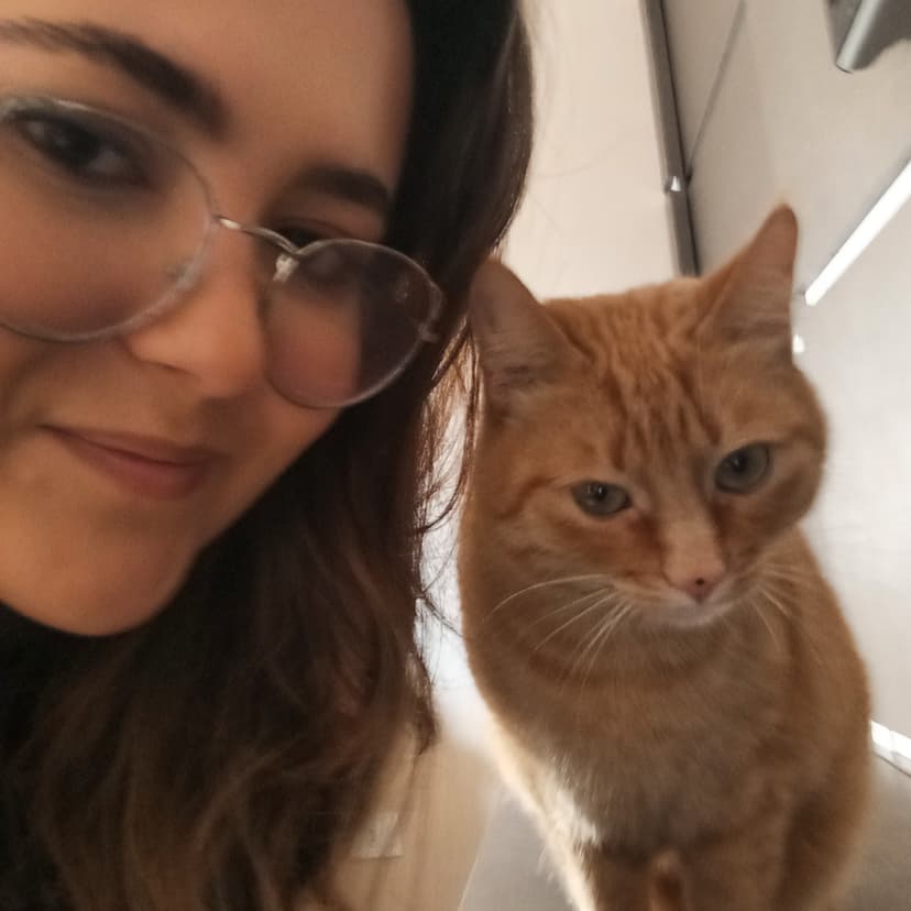 Trabalho de pet sitter por Senhorita