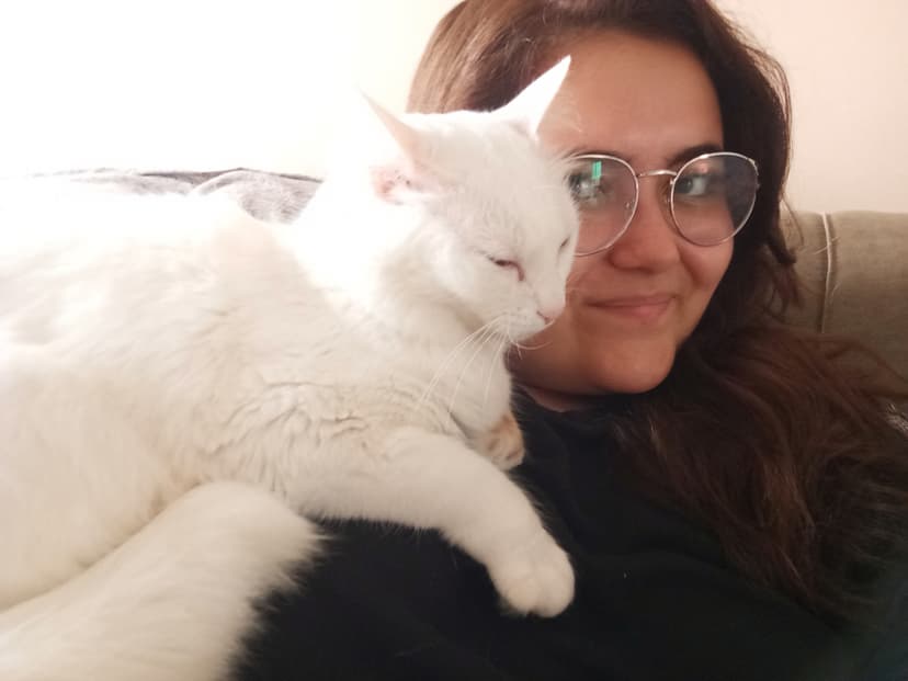 Trabalho de pet sitter por Senhorita