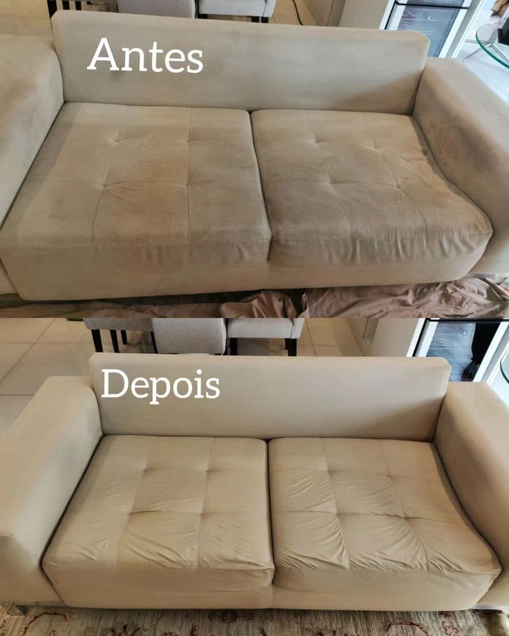 Trabalho de limpador de carpetes e estofados por Regis