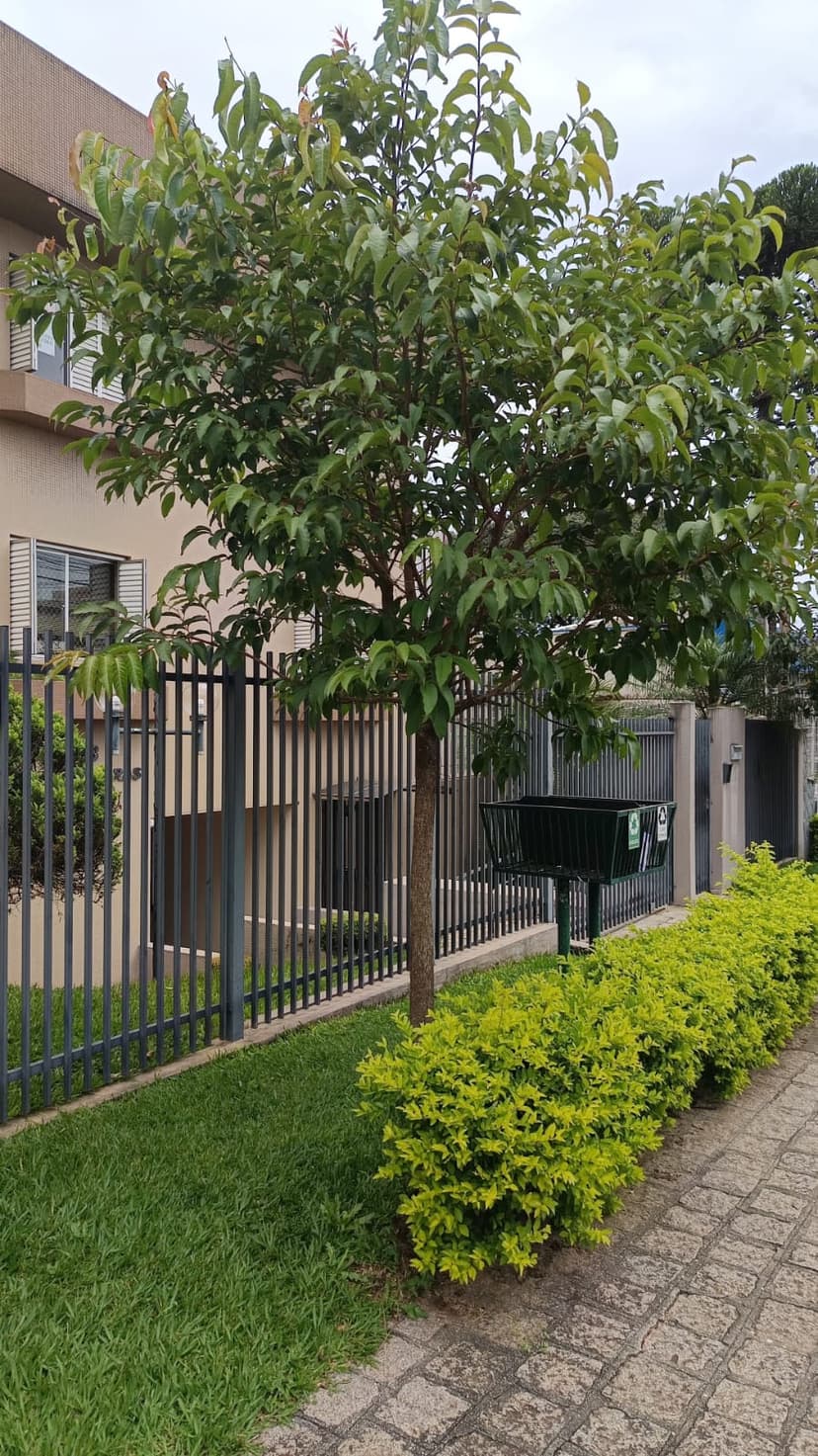 Trabalho de administração de condomínios por Alessandro Hibner Síndico 