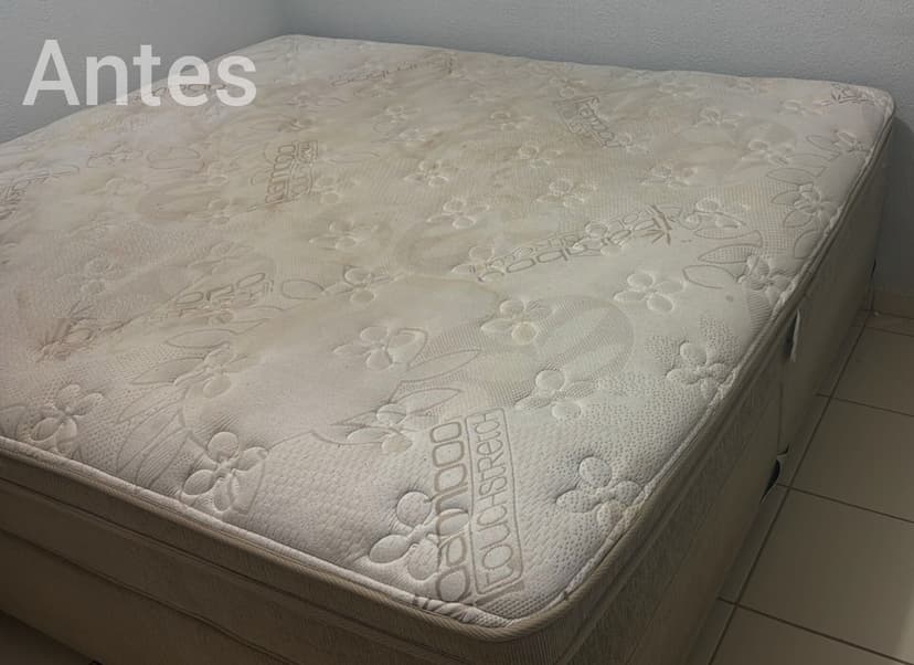 Trabalho de limpador de carpetes e estofados por Jeferson