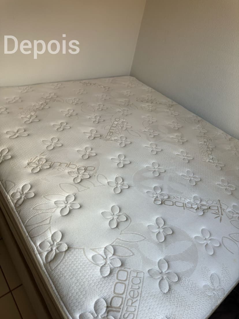 Trabalho de limpador de carpetes e estofados por Jeferson