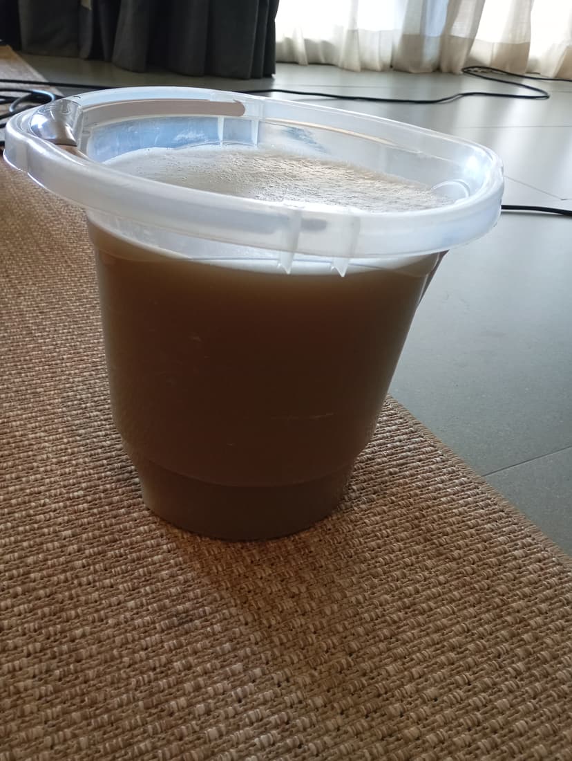 Trabalho de limpador de carpetes e estofados por Lore Clean Higienização