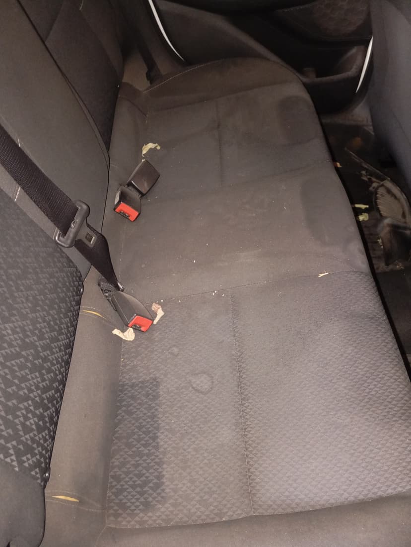 Trabalho de limpador de carpetes e estofados por Jeferson