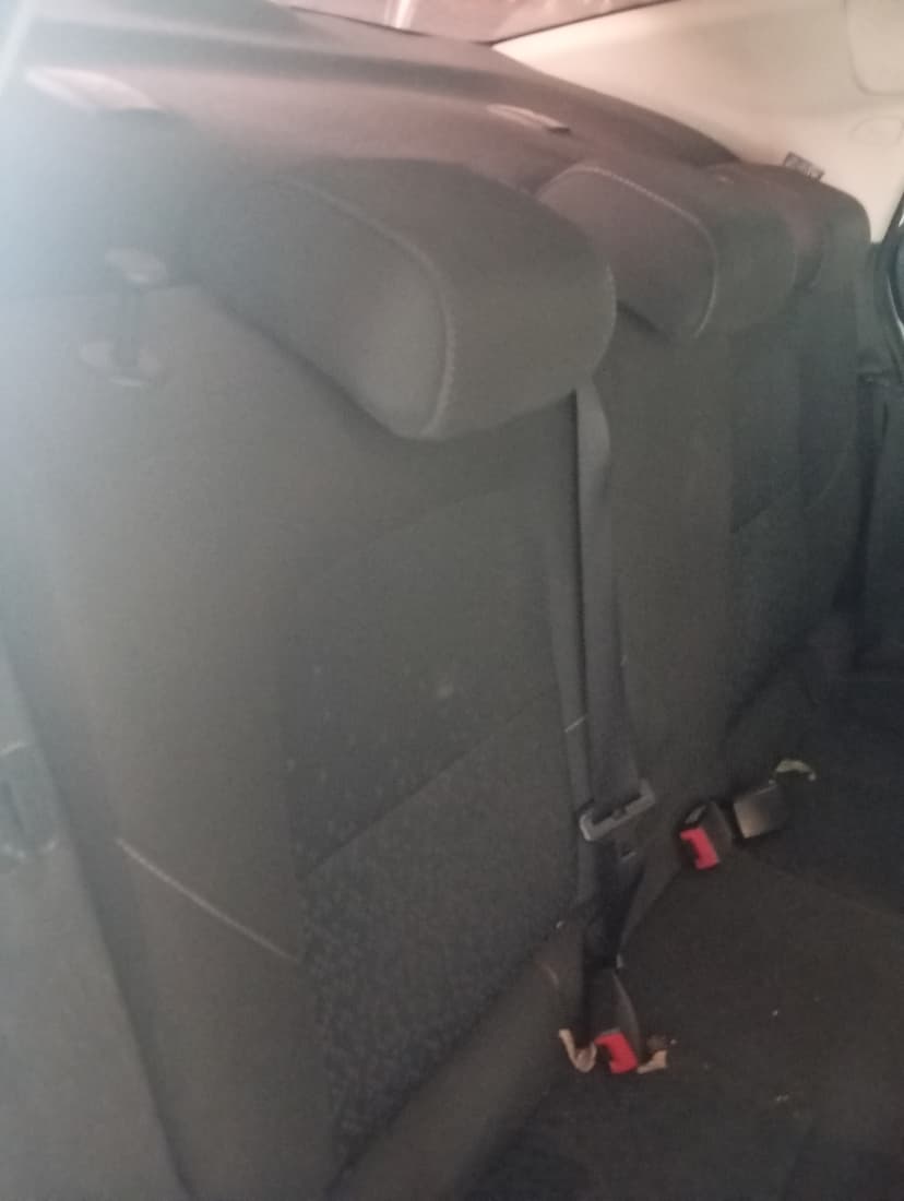 Trabalho de limpador de carpetes e estofados por Jeferson