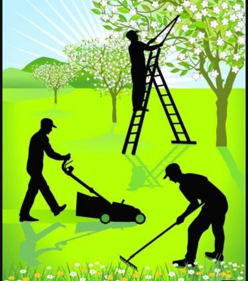 Trabalho de paisagista por Daniel