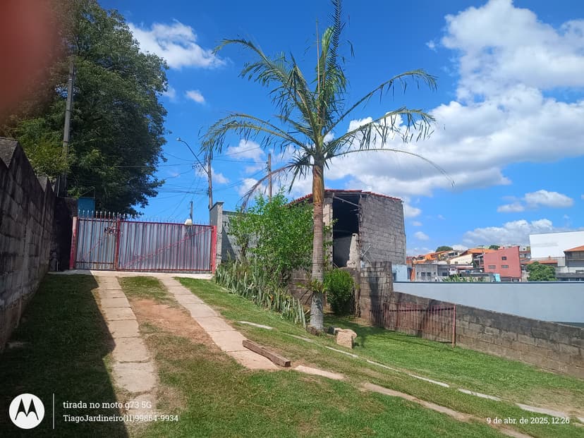 Trabalho de jardineiro por Tiago Bolinha