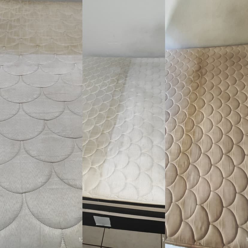 Trabalho de limpador de carpetes e estofados por www.higihome.com.br