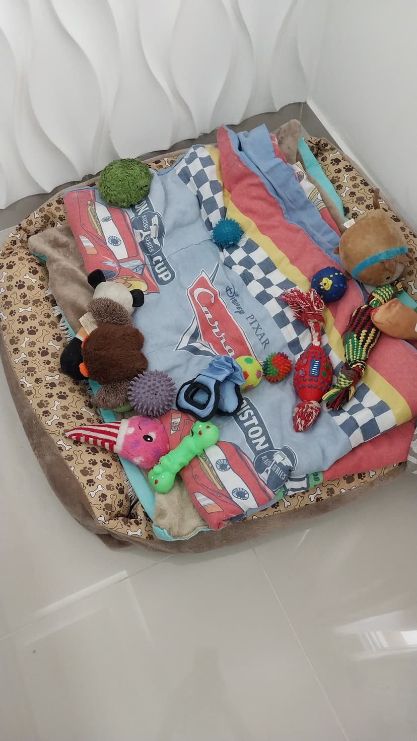 Trabalho de diarista por Mari