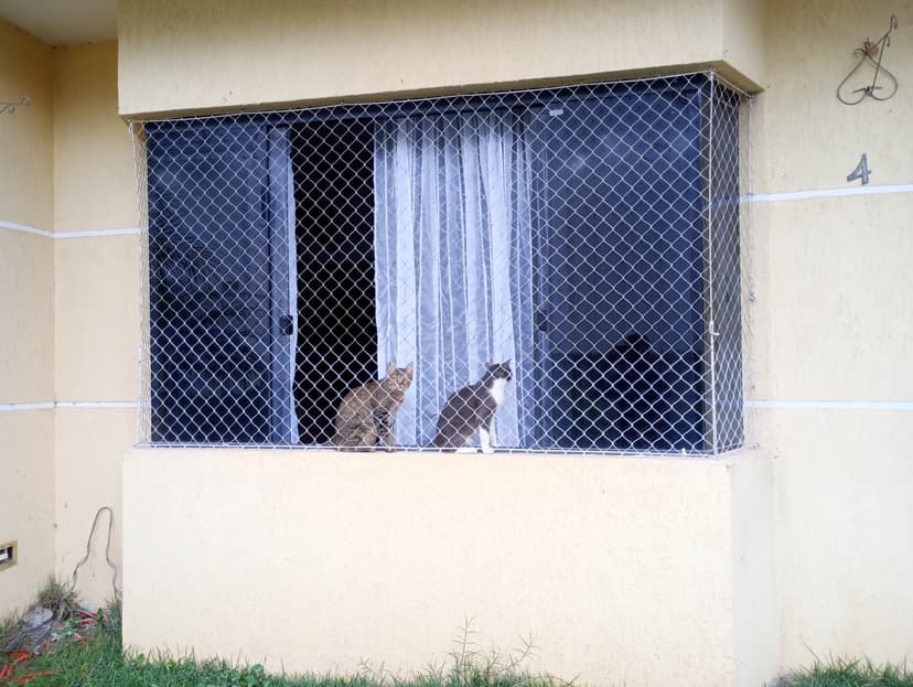 Trabalho de serviço de decoração e equipamentos para eventos por Ph redes de proteção