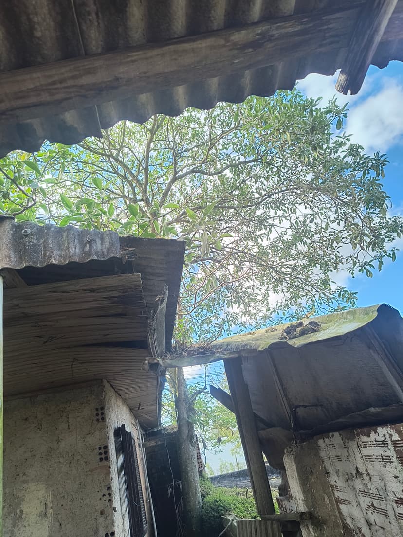 Trabalho de jardineiro por Flávio Barbosa