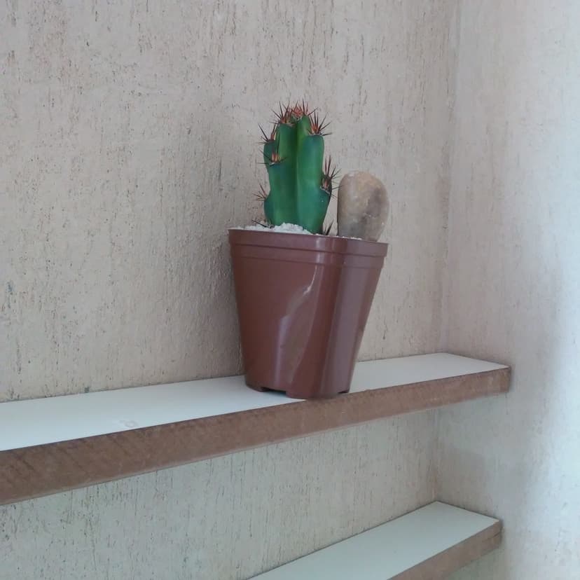 Trabalho de pintor por Fred