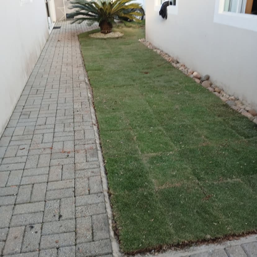 Trabalho de jardineiro por 1000 Jardins