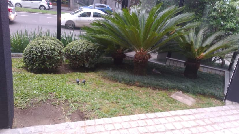 Trabalho de paisagista por Antonio Sousa