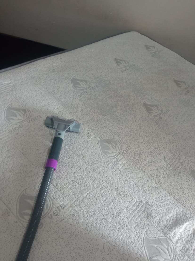 Trabalho de limpador de carpetes e estofados por Alex