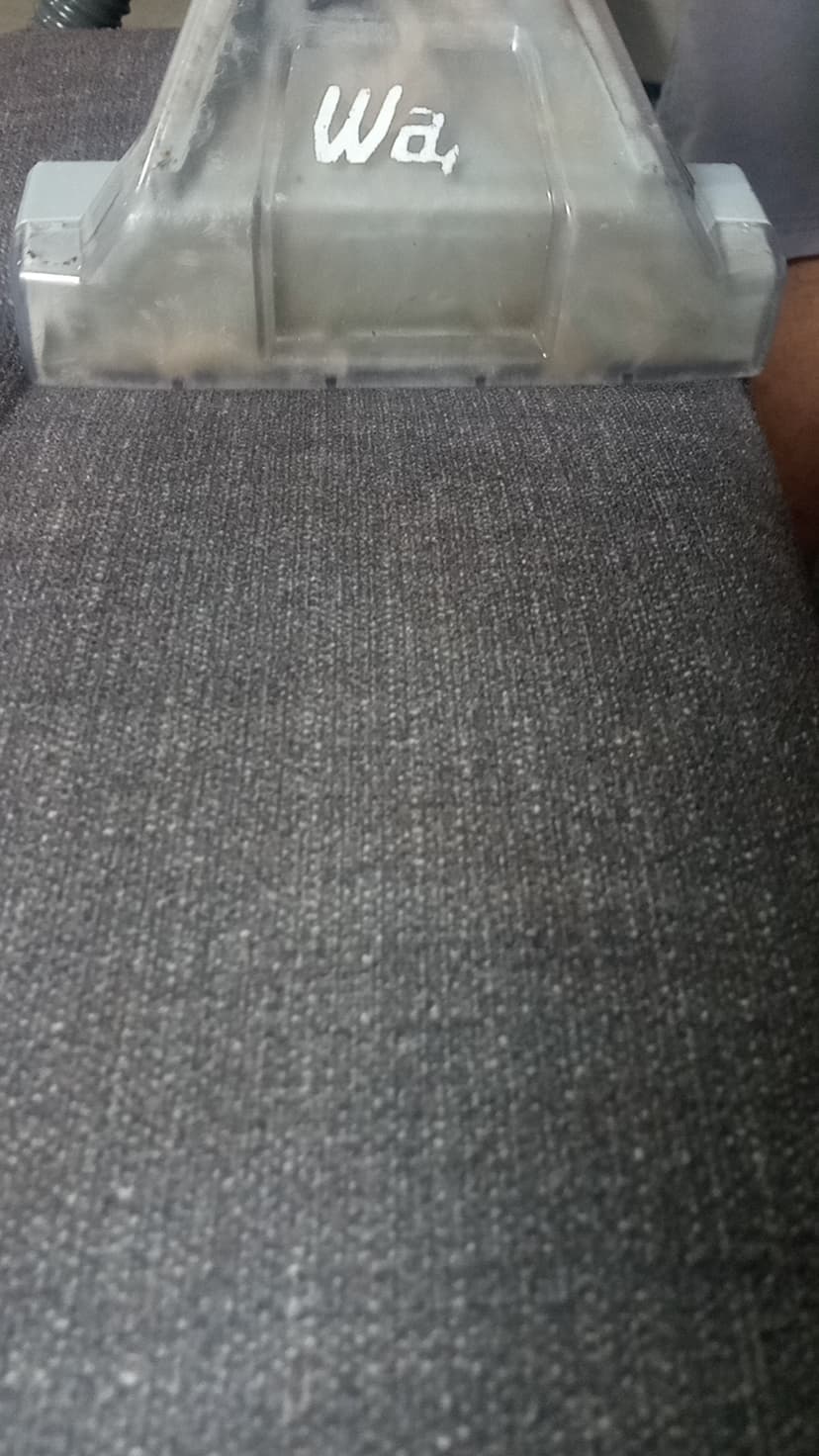 Trabalho de limpador de carpetes e estofados por Alex