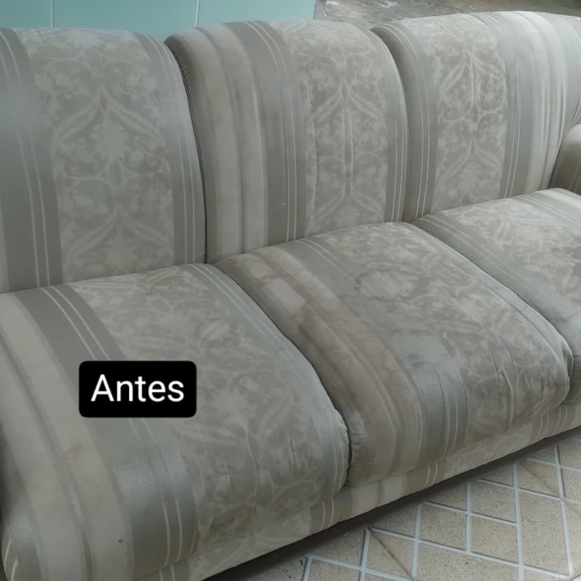 Trabalho de limpador de carpetes e estofados por Edilson