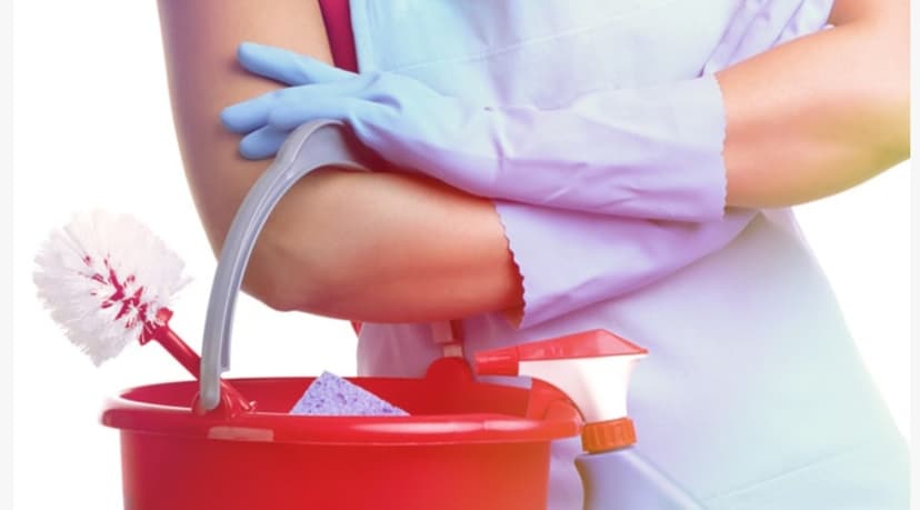 Trabalho de diarista por Vivi