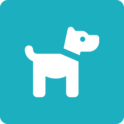 Trabalho de adestrador de cães por Maurício