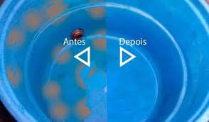 Trabalho de limpador de caixa de água por Kiel