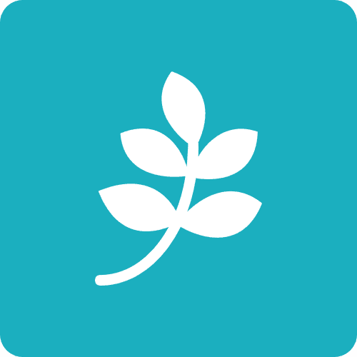 Trabalho de jardineiro por Ipê Amarelo Carpintaria e Paisagismo