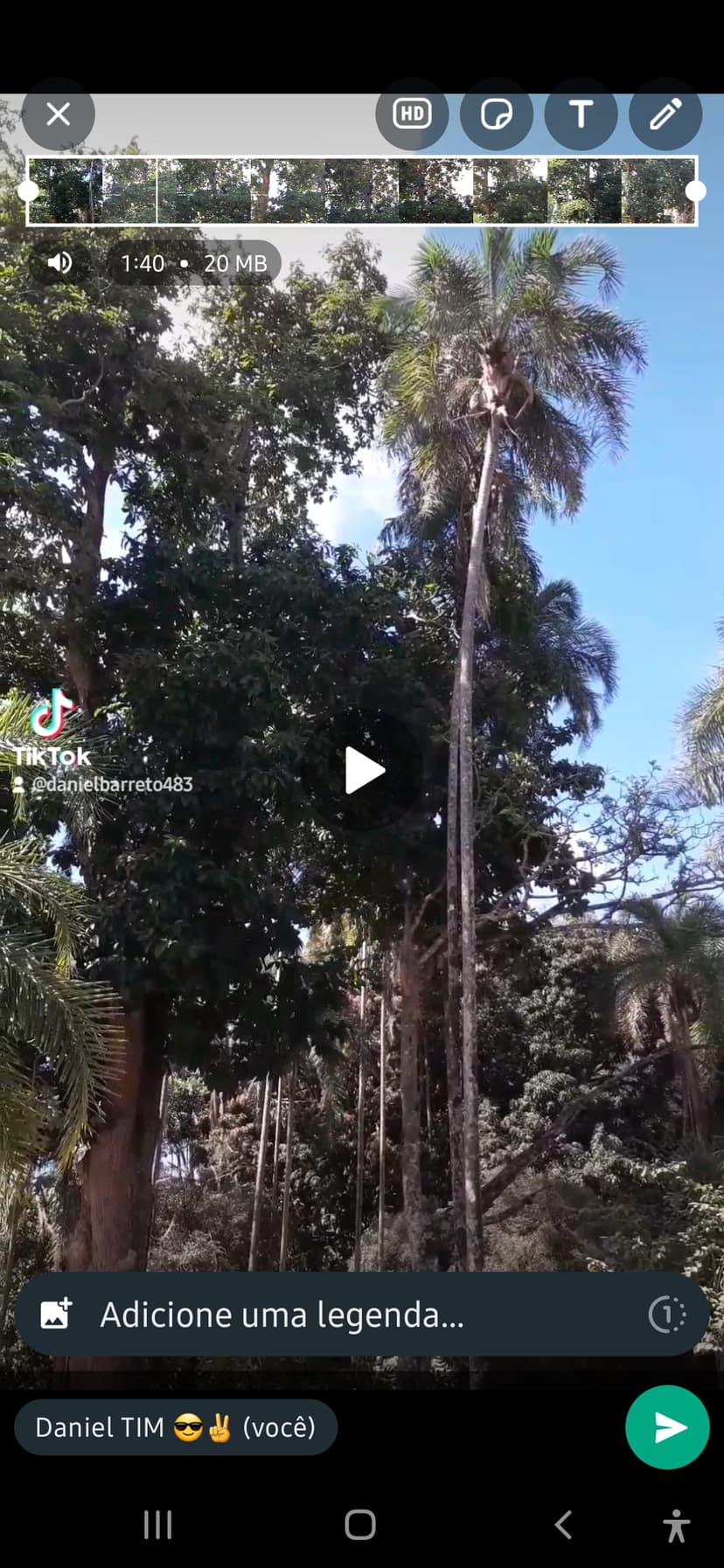 Trabalho de paisagista por Daniel