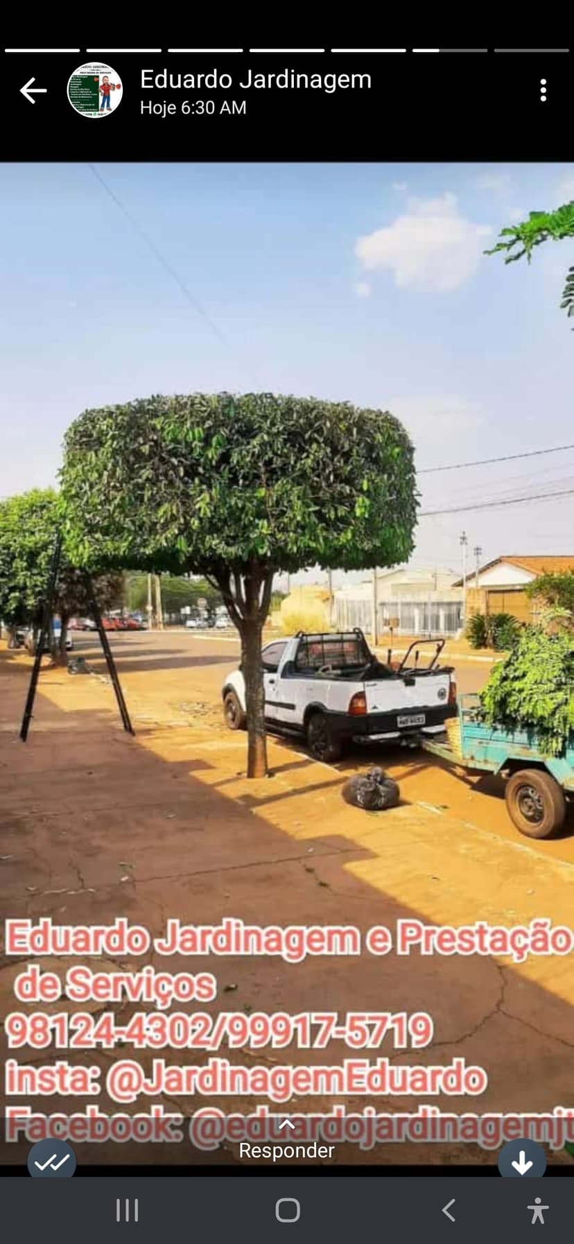 Trabalho de paisagista por Daniel