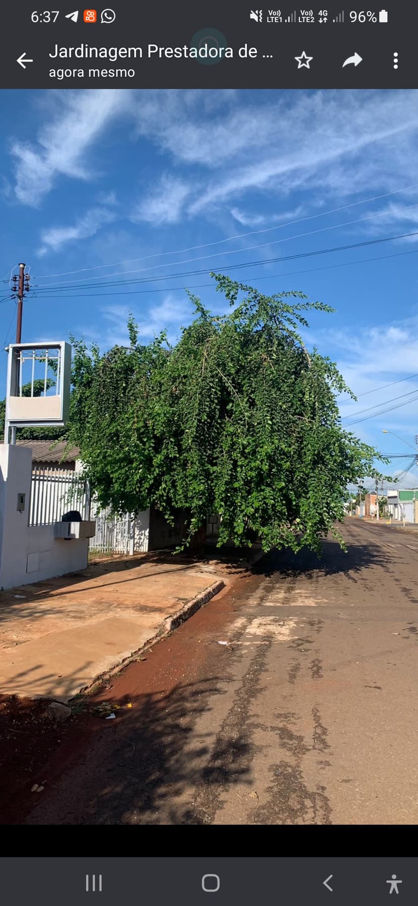 Trabalho de paisagista por Daniel