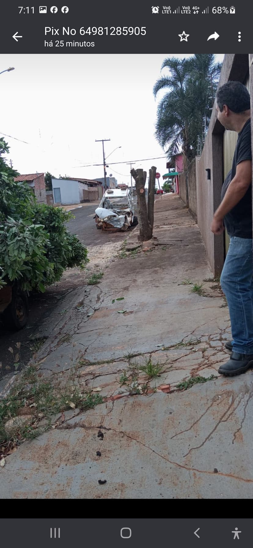 Trabalho de paisagista por Daniel