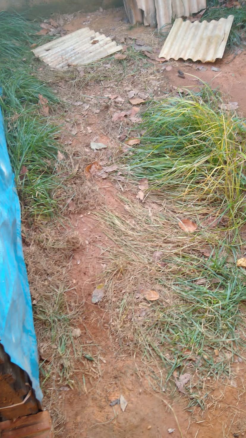 Trabalho de limpador de caixa de água por Braga