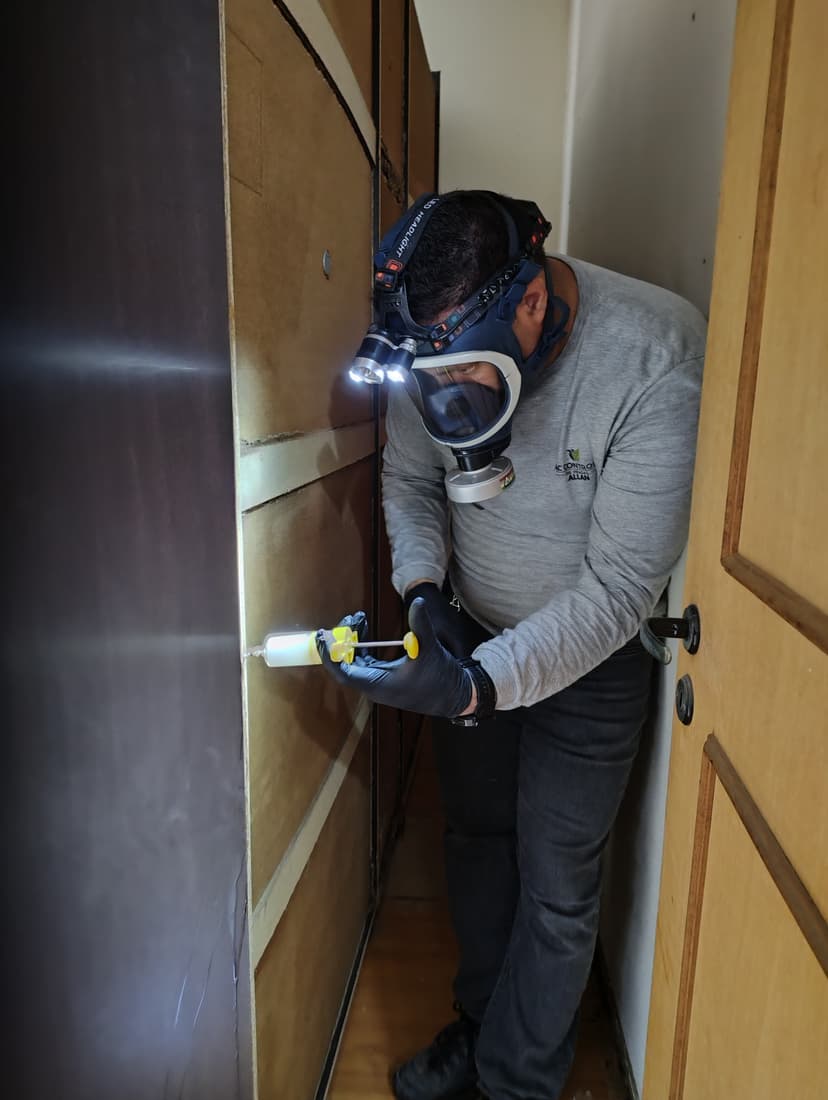 Trabalho de dedetizadora por AC Controle de Pragas