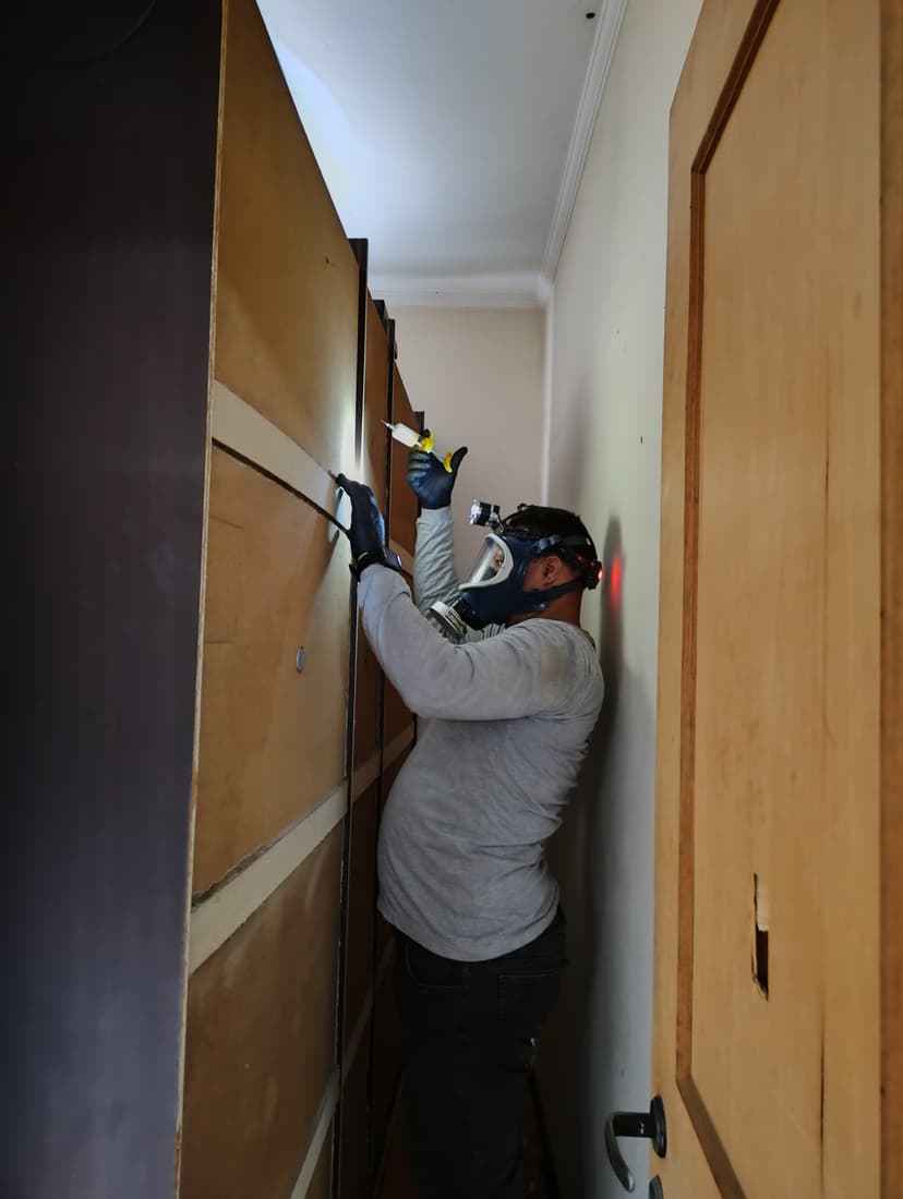 Trabalho de dedetizadora por AC Controle de Pragas