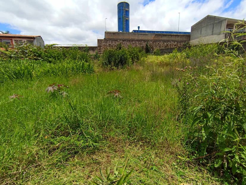 Trabalho de jardineiro por Excelência jardinagem e paisagismo