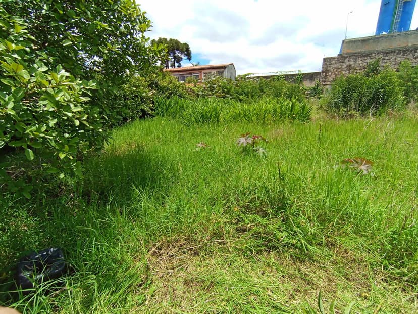 Trabalho de jardineiro por Excelência jardinagem e paisagismo