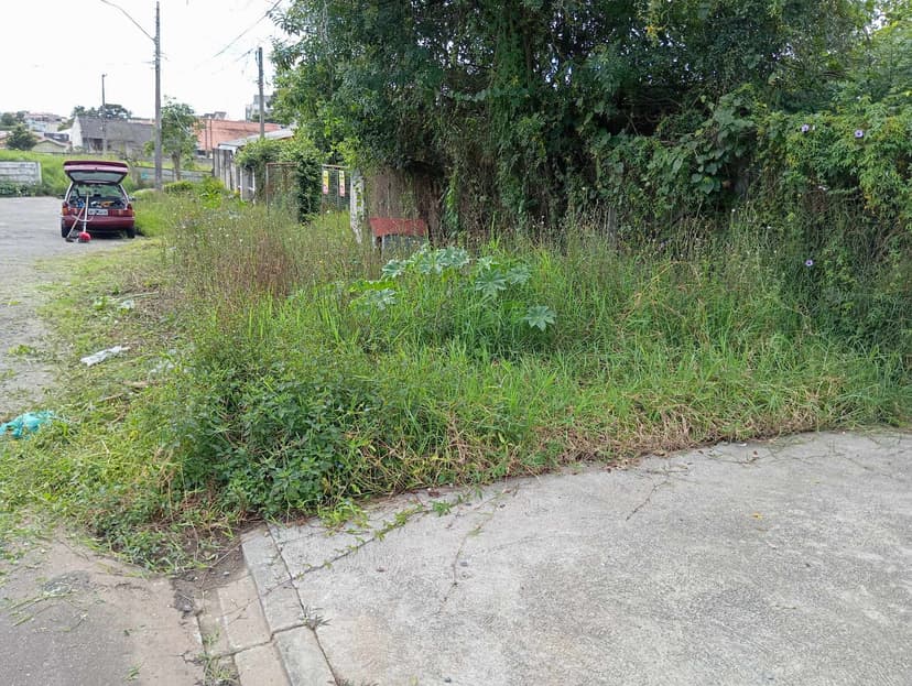 Trabalho de jardineiro por Excelência jardinagem e paisagismo