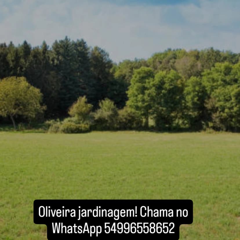 Trabalho de jardineiro por MATEUS AUGUSTO KOOP DE OLIVEIRA