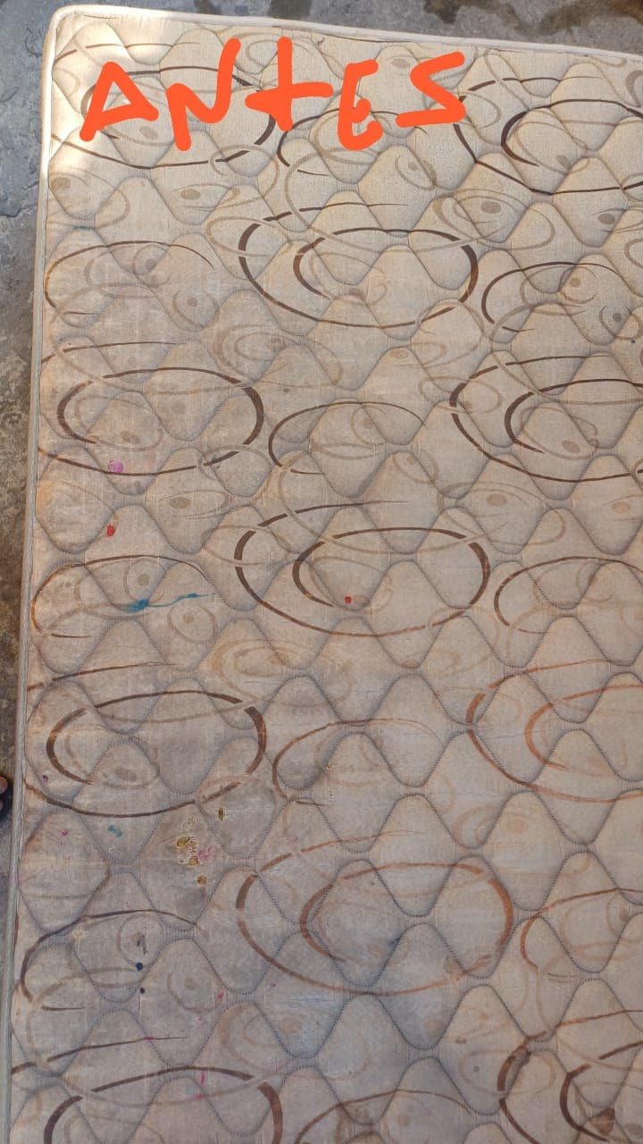 Trabalho de limpador de carpetes e estofados por Leonardo Lopes