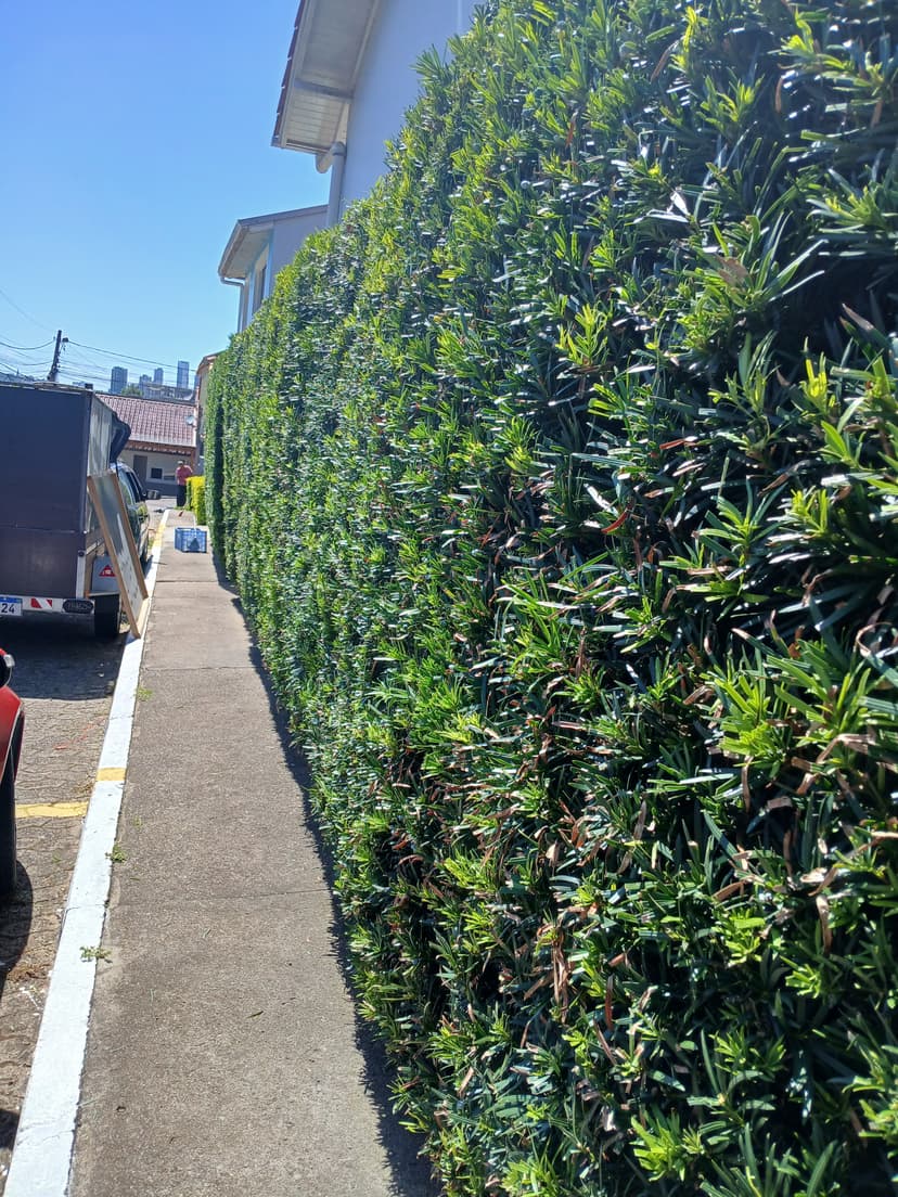 Trabalho de jardineiro por AL Jardinagem
