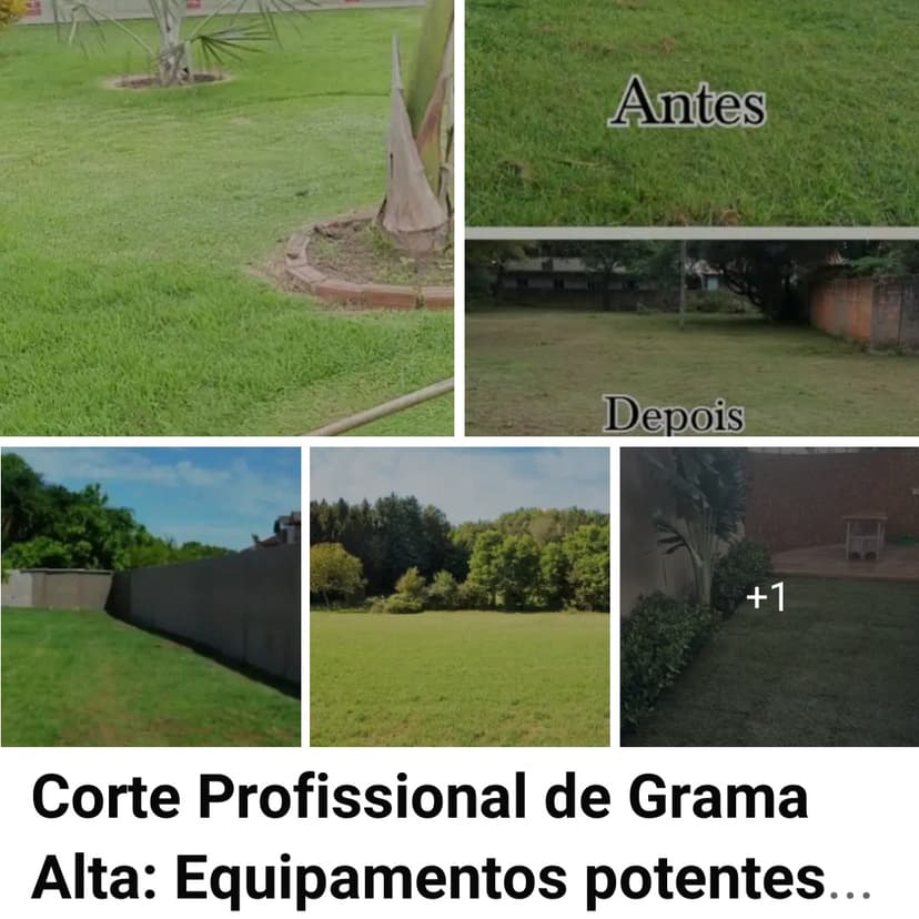 Trabalho de jardineiro por MATEUS AUGUSTO KOOP DE OLIVEIRA