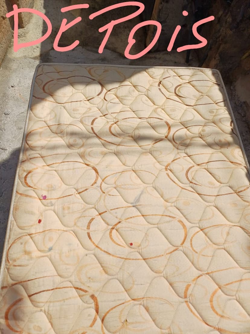 Trabalho de limpador de carpetes e estofados por Leonardo Lopes