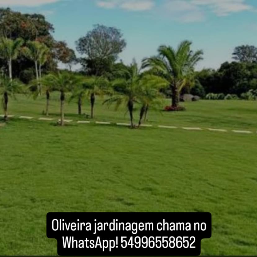 Trabalho de jardineiro por MATEUS AUGUSTO KOOP DE OLIVEIRA