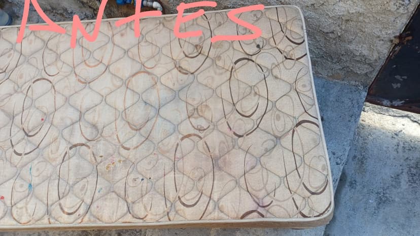 Trabalho de limpador de carpetes e estofados por Leonardo Lopes