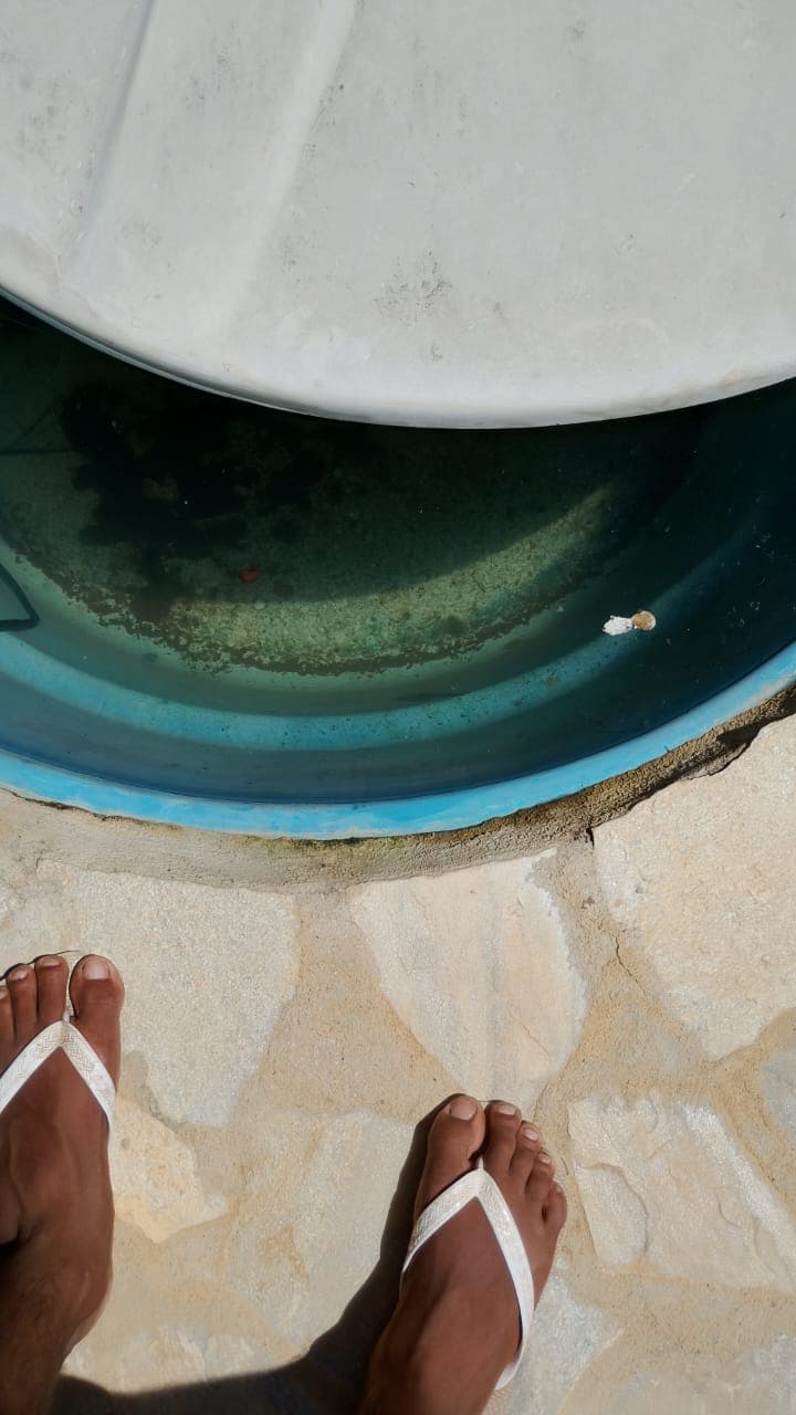 Trabalho de marido de aluguel por Fênix Manutenções Predial e Residencial