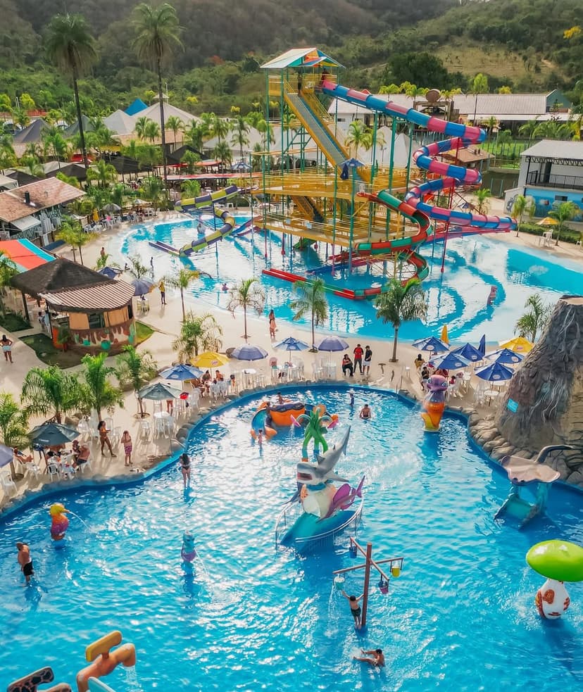 Trabalho de serviço de transporte especial por Agência de Viagens